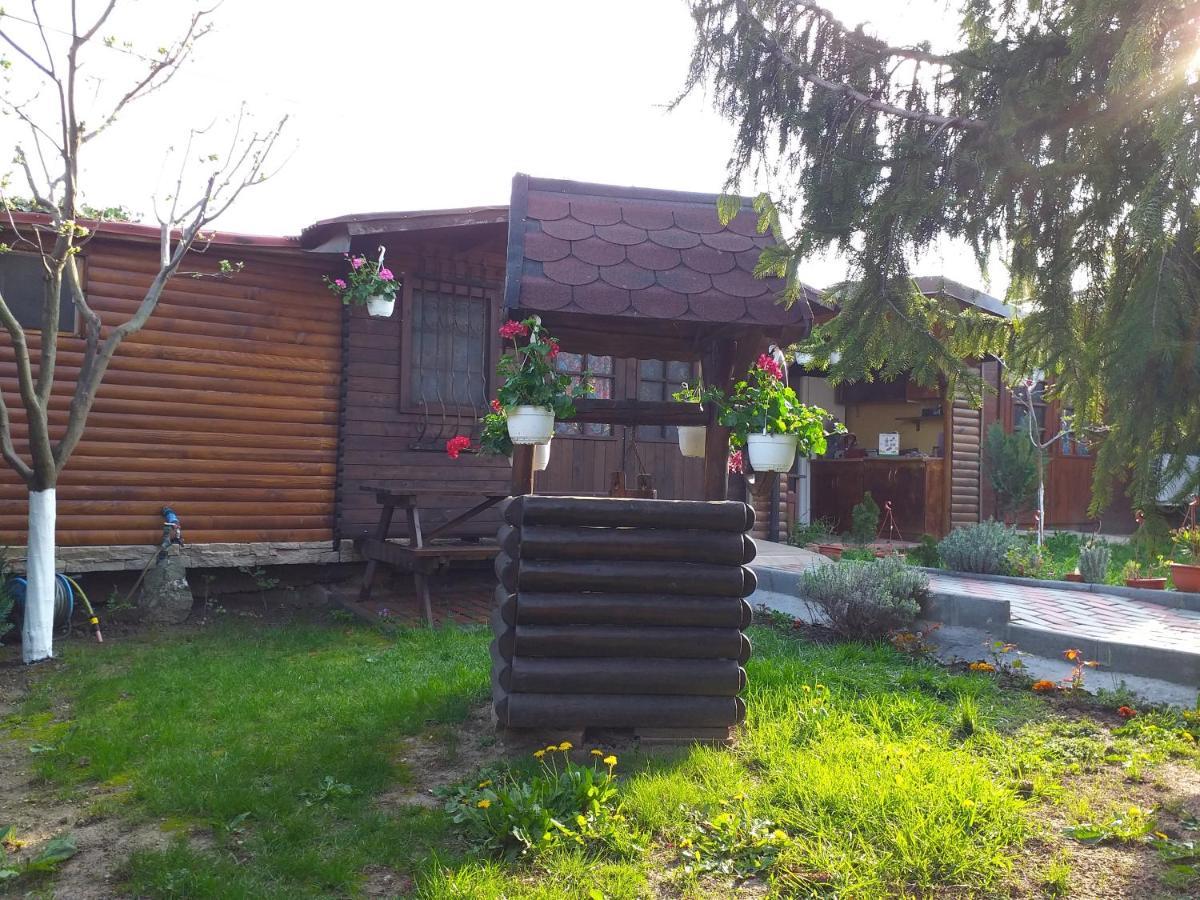 Casa Mola Apartment Mangalia Exterior photo