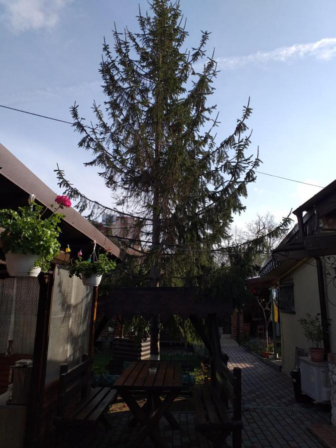 Casa Mola Apartment Mangalia Exterior photo