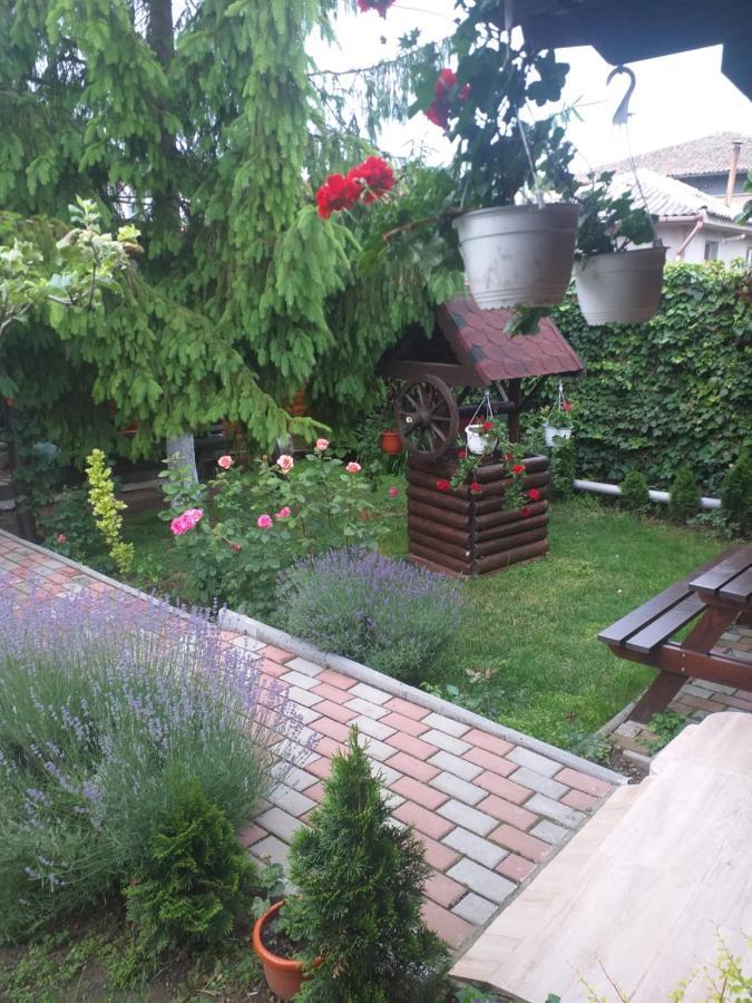 Casa Mola Apartment Mangalia Exterior photo